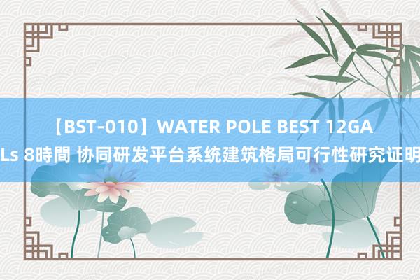 【BST-010】WATER POLE BEST 12GALs 8時間 协同研发平台系统建筑格局可行性研究证明