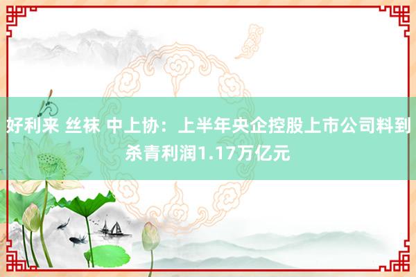 好利来 丝袜 中上协：上半年央企控股上市公司料到杀青利润1.17万亿元