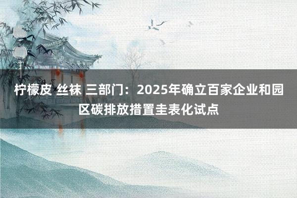 柠檬皮 丝袜 三部门：2025年确立百家企业和园区碳排放措置圭表化试点