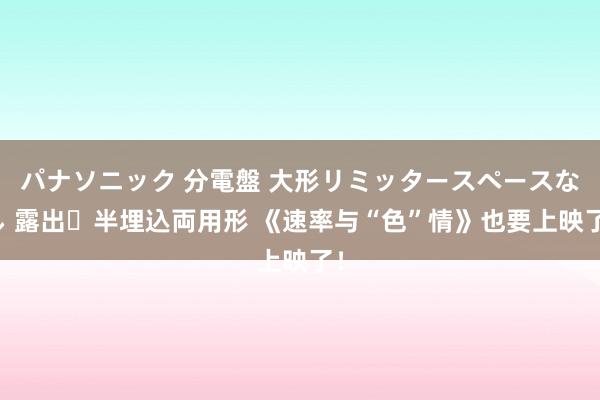 パナソニック 分電盤 大形リミッタースペースなし 露出・半埋込両用形 《速率与“色”情》也要上映了！