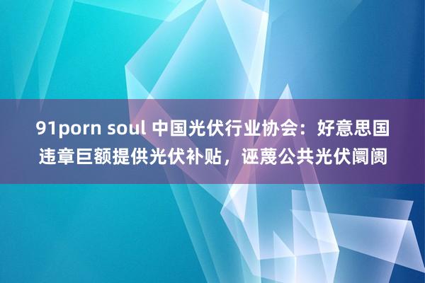 91porn soul 中国光伏行业协会：好意思国违章巨额提供光伏补贴，诬蔑公共光伏阛阓